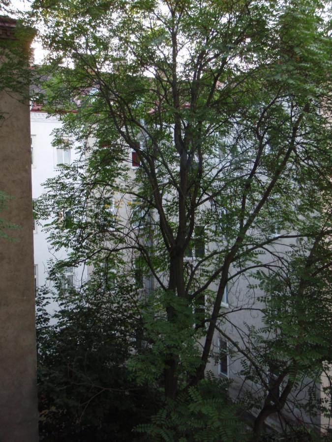 Augartenblick Penthaus 16 Apartment Wina Bagian luar foto